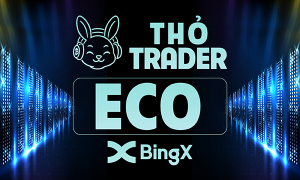 Group Chát Thỏ Trader demo